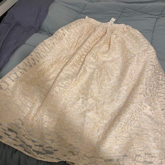 Pankaj Nidhi Burnout Shimmer Maxi Skirt from Anthropologie in Size 2 - Picture 3 of 6